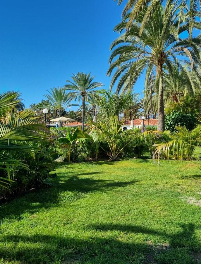 Sun Club P65 Premium Bungalow Maspalomas  Exterior photo