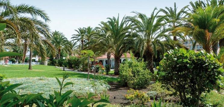 Sun Club P65 Premium Bungalow Maspalomas  Exterior photo
